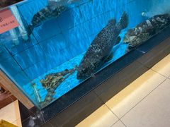 -四海之家(蛇口店)
