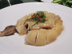 -新兴·金羊座·粤菜点心(乐峰店)