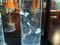 -广东中医药博物馆