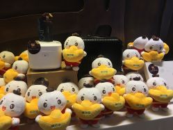 -北京柏悦酒店宴会厅