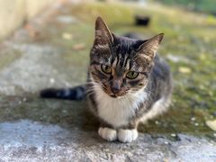 -T80科技文化国际社区-停车场