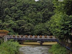 -广州白江湖森林公园