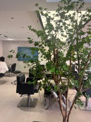 -付军剪艺JF ProSalon