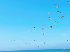 -那香海钻石沙滩浴场