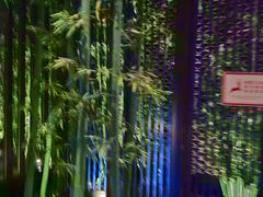 -尚橙歌坊主题式KTV(恒大商业广场店)