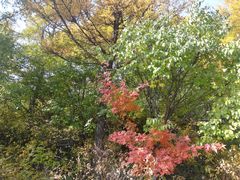 -白草畔自然风景区