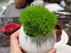-前海华侨城JW万豪酒店·都会尚膳自助餐厅·牛排海鲜酒水畅飨