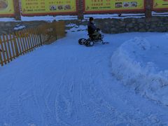-青龙湖公园