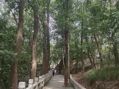 -灵岩山风景区