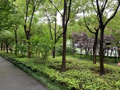 -南翔镇银翔湖公园