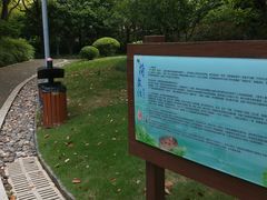 -陈家山荷花公园
