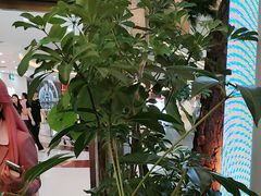 -桂满陇·蟹黄小笼汤包(中山公园店)