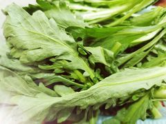 -广宁炭炉鸡煲·富临门饭店