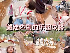 -盈香心动乐园