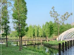 -眉山湿地公园(东坡区)