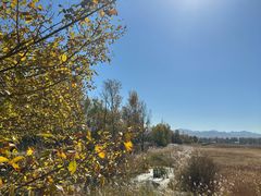 -野鸭湖国家湿地公园