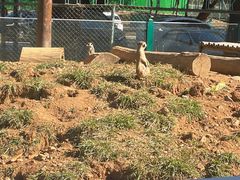 -秦皇岛野生动物园