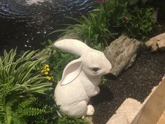 -好彩猪肚鸡(正弘城店)