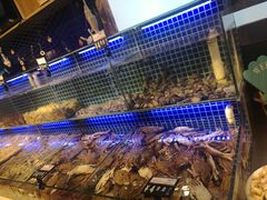 -必点海鲜·鲅鱼水饺(鞍山西道店)