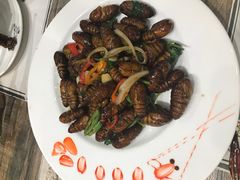 -张家小灶(东城店)