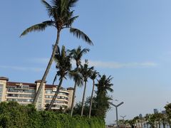 -万绿园