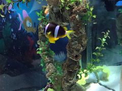 -太平洋海底世界