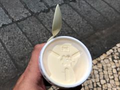 -洪馨椰子