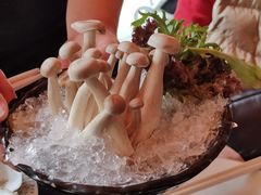 -牛牛和牛海鲜粥底火锅(长虹国际城店)