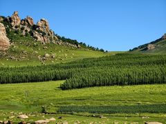 -克什克腾世界地质公园青山景区