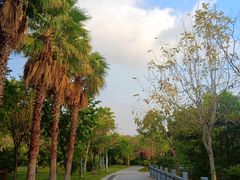 -金鸡岭桥头公园