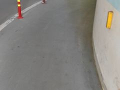-添彩臻宴