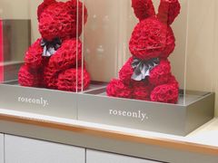 -ROSEONLY诺誓(磐基中心店)