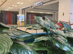 -东四民芳餐厅(世茂工三店)
