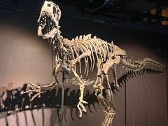 -正佳自然科学博物馆