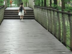 -黄海国家森林公园