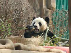 -大连森林动物园