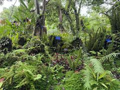 -中国科学院西双版纳热带植物园