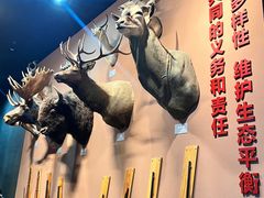 -浙江自然博物院(杭州馆)