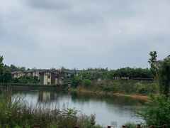 -空港花田景区