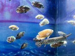 -常州海昌海洋探索馆