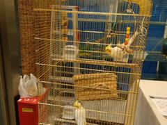 -潇湘·永州会馆(百子湾店)