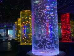 -锦艺城海洋馆