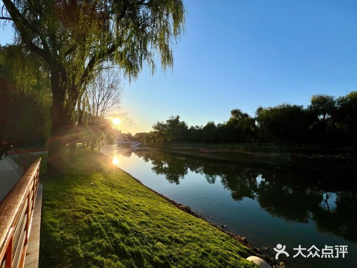 坝河休闲公园图片