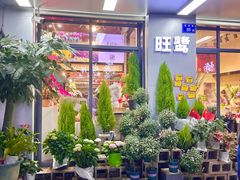 -溪岸路花鸟市场