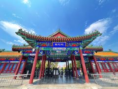 -莲花池公园