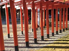 -水前寺成趣园
