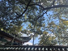 -MAP CHA普洱茶馆(翠湖店)