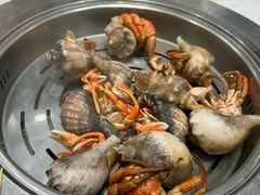 -集品鲜湾·蒸汽海鲜自助料理(青岛银座和谐广场店)