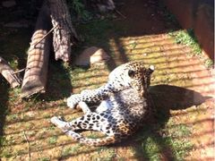 iphone_upload_pic-昆明动物园