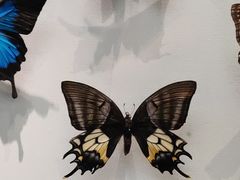 -天津自然博物馆